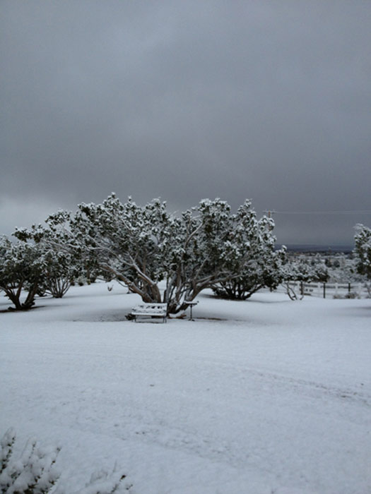 An ABC7 viewer sent us this photo of snow in...