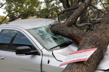 ABC7 viewer Jennifer Oberlander sent in this...