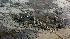 Aerial view of devastation in Myanmar