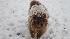 Winter weather photos from Southern Calif.