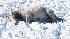 Winter weather photos from Southern Calif.