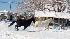 Winter weather photos from Southern Calif.