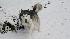 Winter weather photos from Southern Calif.