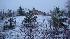 Winter weather photos from Southern Calif.