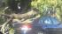ABC7 viewer Manuel Garcia sent in this photo of...