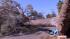 Fierce winds snap large tree in Glendale :: Strong winds proved to be too much for a large tree in Glendale on Thursday. It didnt stand a chance against the gusts.