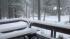 ABC7 viewer Lauri of Big Bear sent in this photo...