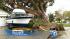 A larger tree in Winnetka was uprooted as a...