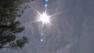 The sun shines above some tree branches in this undated file photo.