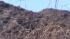 When heat rises, so does IE's fire danger :: File photo of dry brush in the Inland Empire.