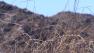 File photo of dry brush in the Inland Empire.