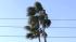 A storm that exited Southern California left behind strong winds, some of up to 50 mph in certain areas, on Monday, Jan 7, 2013.