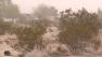 The high desert was pummeled by the strong winds on Monday, April 8, 2013.