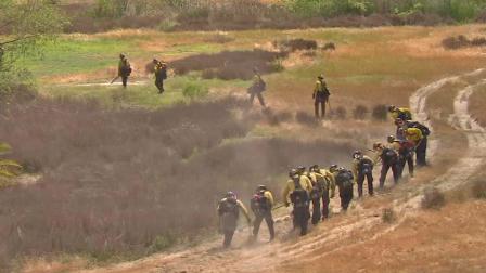 Orange County firefighters cut away brush during a live fire demonstration on Wednesday, May 1, 2013.