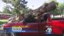 A tree is seen on top of a truck on Friday, Aug. 30, 2013, after a summer storm swept through Riverside.