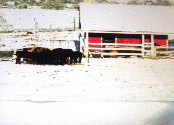 ABC7 viewer Bobbi Hazelton sent in this photo of...