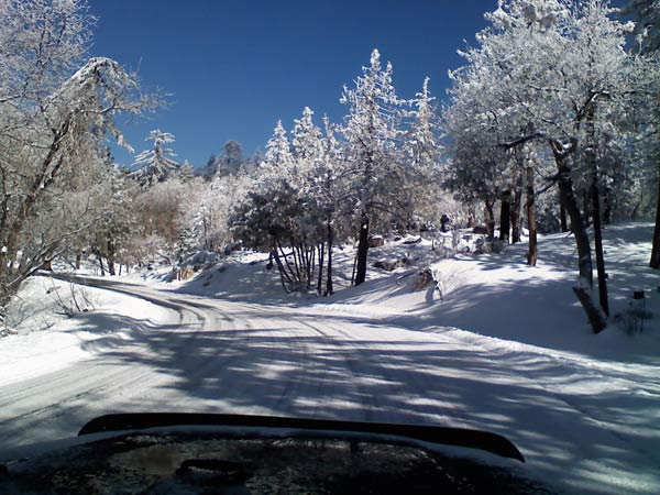 ABC7 viewer Kathy Thurow sent in this photo of...