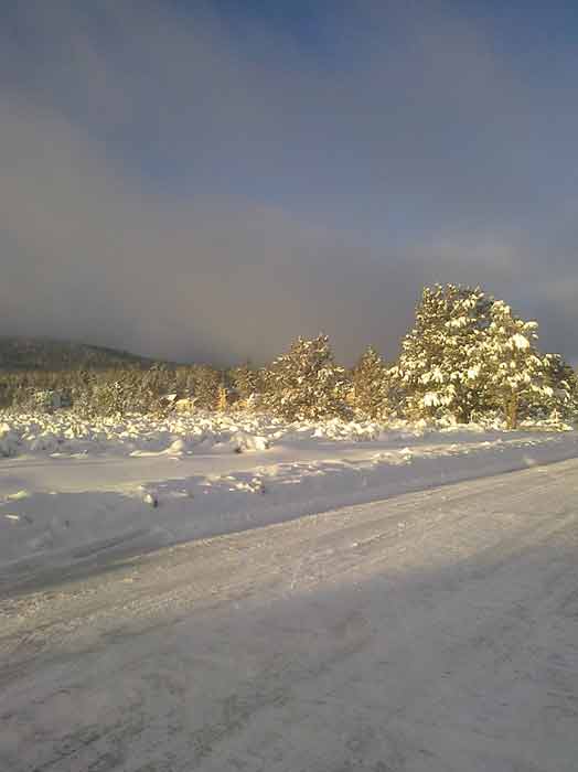ABC7 viewer Marshall Richter sent in this photo...