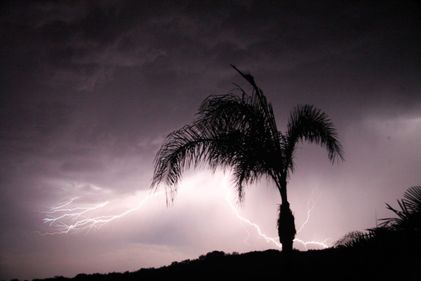 ABC7 viewer Marcia Gray sent in this photo of...