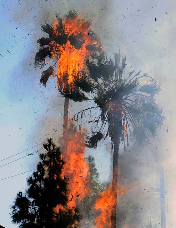 Hot temperatures reaching over 110+ degrees and...