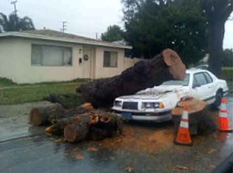 ABC7 viewer Anthony sent in this photo of a...