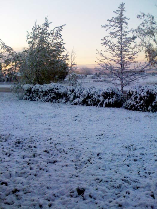 ABC7 viewer Daniel Ele sent in this photo of snow in Cherry Valley, Calif. on Saturday, April 9, 2011.