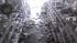 Temblors keeps Brawley residents on edge :: Surveillance video shows products thrown off store shelves during a series of earthquakes that struck the Imperial County city of Brawley on Sunday, Aug. 26, 2012.