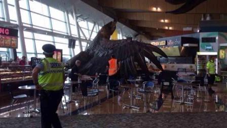 A giant eagle sculpture in Wellingtons airport, placed there to promote director Peter Jacksons movie trilogy The Hobbit, fell from its overhead perch to the floor following a 6.3-magnitude earthquake in New Zealand Sunday, Jan. 19, 2014.