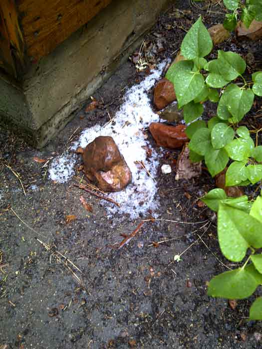 ABC7 viewer Heidi Pure sent in this photo of...