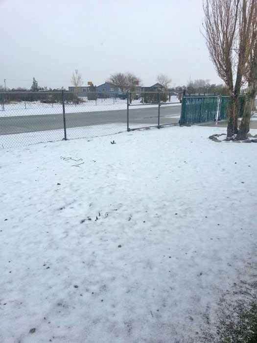 ABC7 viewer Marina Arriaga sent us this photo...