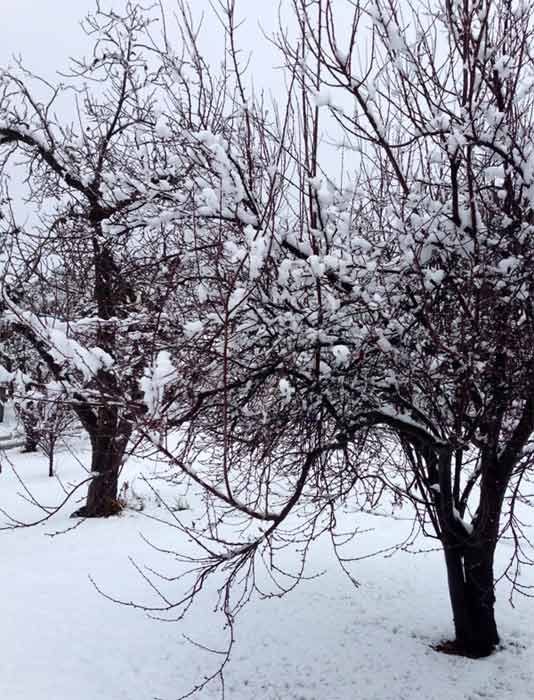 ABC7 viewer Martha Miller Glubka sent us this...