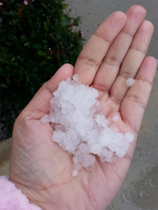 ABC7 viewer Catherine Kennedy sent us this photo...