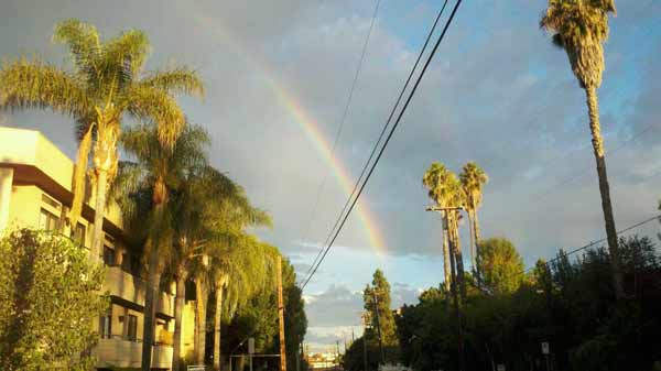 ABC7 viewer Joey Frey sent in this photo of a...