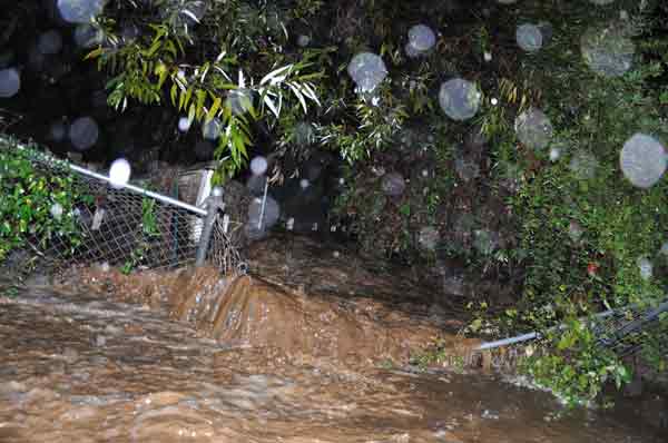 ABC7 viewer John Butler sent in this photo of...