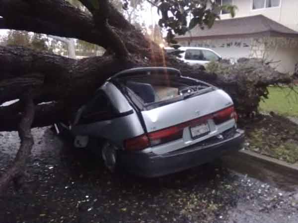 ABC7 viewer Ken Smith sent in this photo of a...