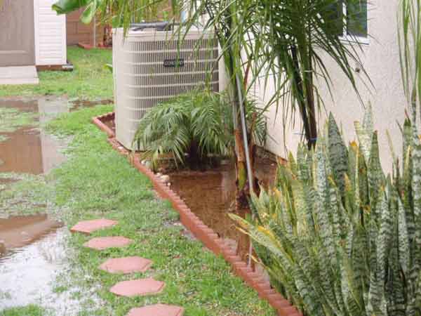 ABC7 viewer Lucinda Marie sent in this photo of...