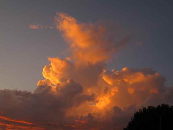 ABC7 viewer Marlene Collins sent in this photo...
