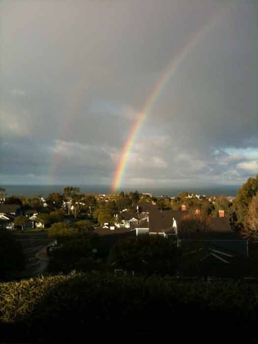 ABC7 viewer Rosann McLaughlin sent in this photo...