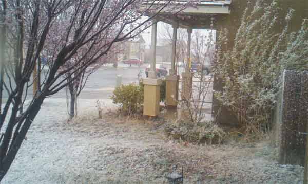 An ABC7 viewer sent in this photo of snow at...
