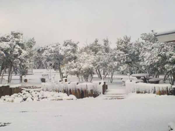 An ABC7 viewer sent in this photo of snow in Oak...