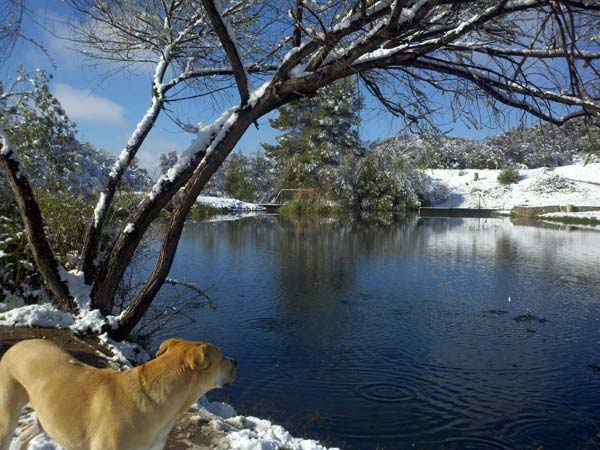 ABC7 viewer Pam Alps sent in this photo of snow...