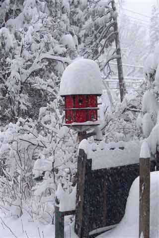 ABC7 viewer Pat Smith sent in this photo of snow...