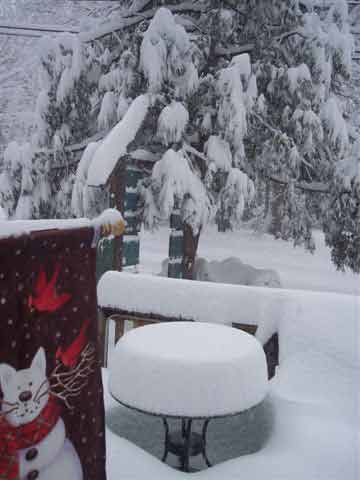 ABC7 viewer Pat Smith sent in this photo of snow at Idyllwild, Calif. on Saturday Feb. 26, 2011.