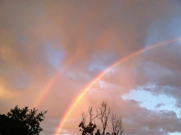 ABC7 viewer Sharon Bush sent in this photo of a...