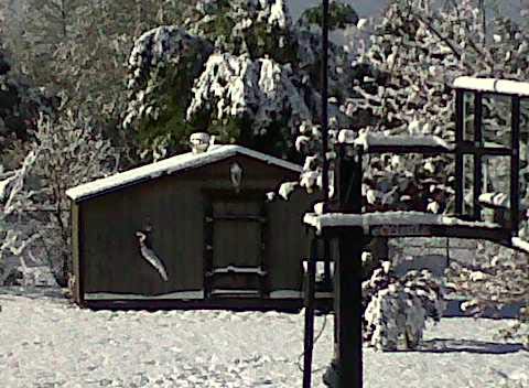 ABC7 viewer Sheri Zolkiewicz sent in this photo...