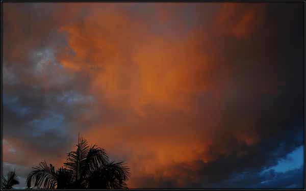 ABC7 viewer Terry Lucas sent in this photo of...