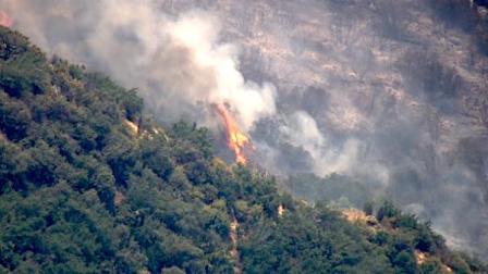 A brush fire raged through an orange grove in Corona, sending up thick clouds of smoke near Temescal Canyon.