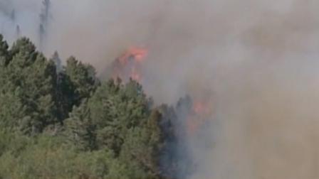 A fast-moving wildfire that broke out in New Mexico forced officials at the Los Alamos National Laboratory to close the site.