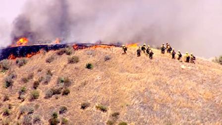 Crews battled a brush fire that burned along the 5 Freeway in Castaic on Friday, June 8, 2012.