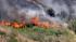 Flames consume brush along Interstate 5 in...